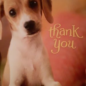 🌸Puppy is saying Thank you!🌸